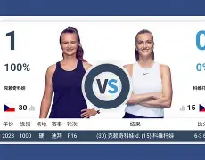 爱游戏APP-从里程碑夜孟菲斯灰熊回应争议到科维托娃关键节点爆冷，今夜夏洛特黄蜂单刀错失的简单介绍